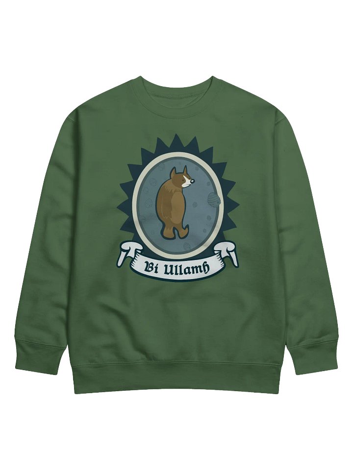 Béar Bí Ullamh Geansaí Cotton Heritage Premium (Front Patch) product image (1)