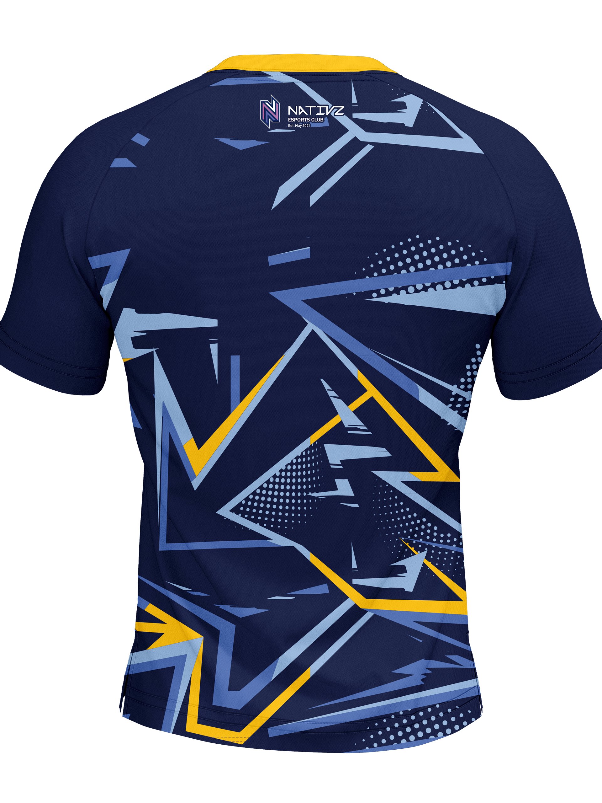 DCU Player Jersey product image (2)