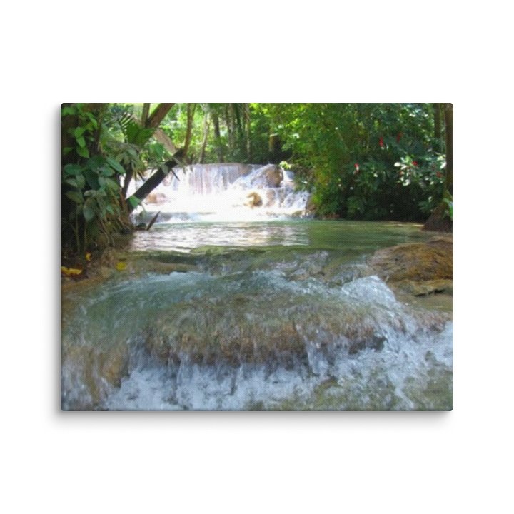 Nature's Canvas product image (1)