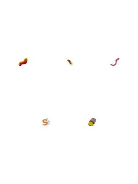 Sticky Bugs -Squiggly & Squirmy Bundle