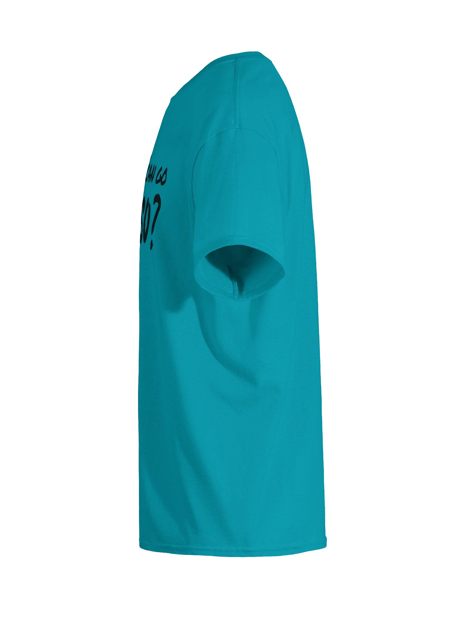 What Can Go So? T-Shirt product image (9)