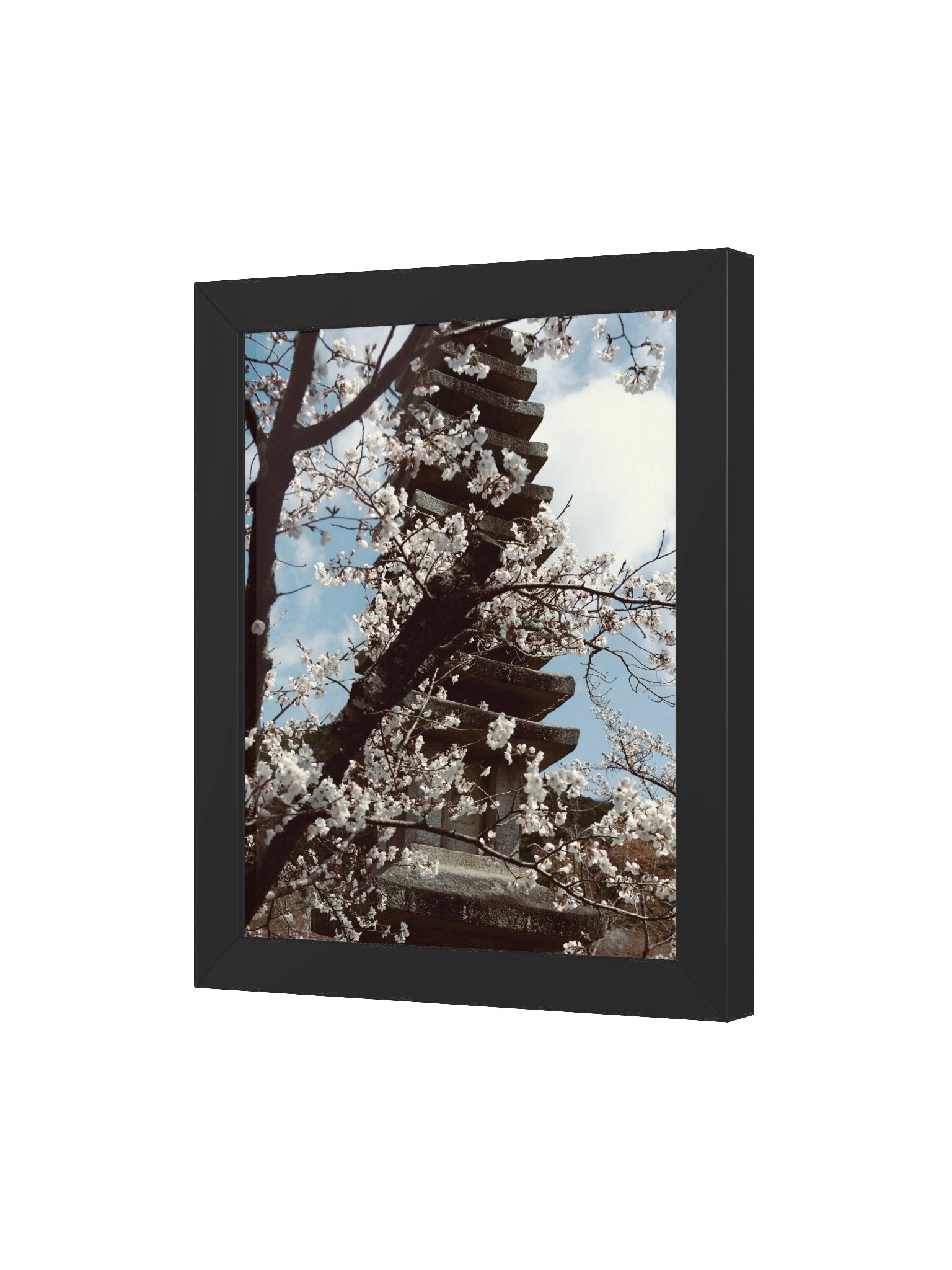 Kyoto Koyasu Pagoda & Sakura product image (45)