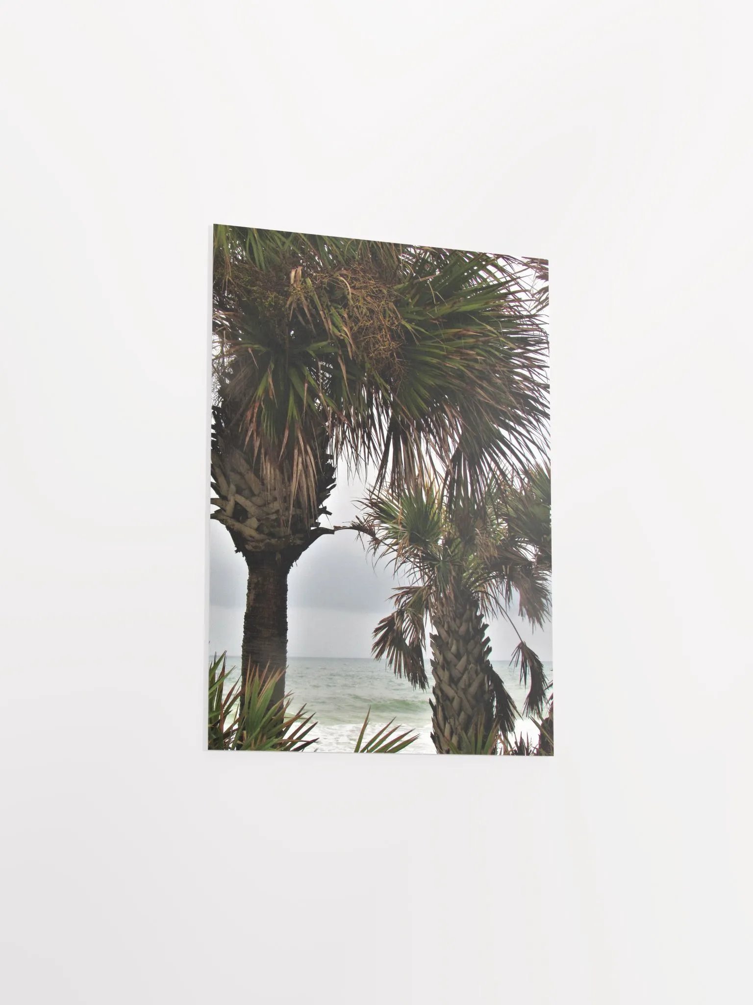 Ormond Beach 3 product image (22)
