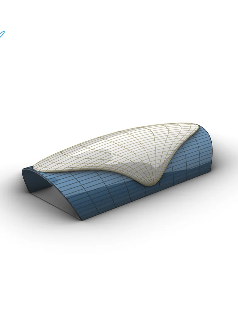 Rhino – EX 46 – Project + SubD Loft product image (1)