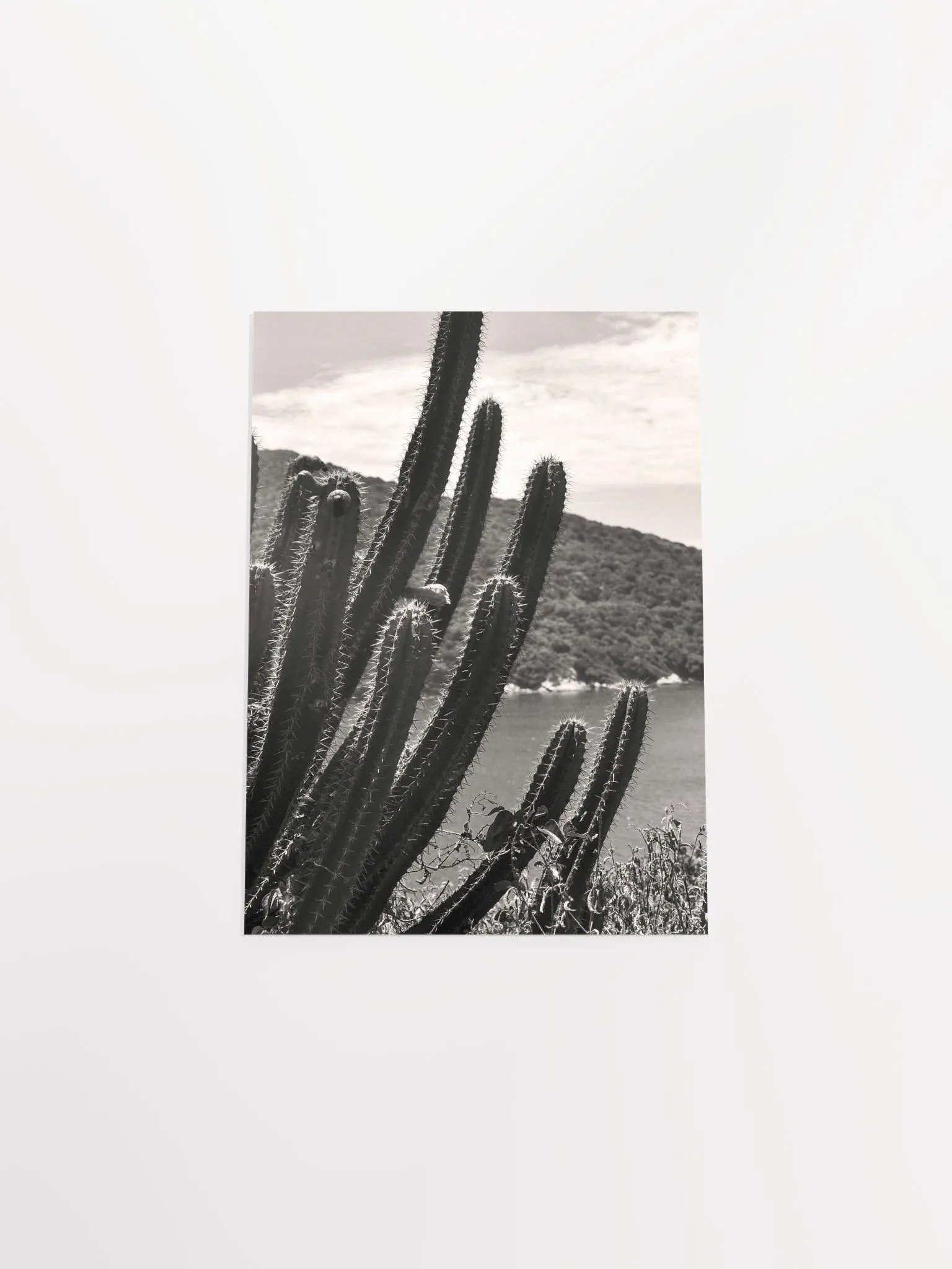 Mexico Lindo - Enhanced Matte Paper Poster product image (5)
