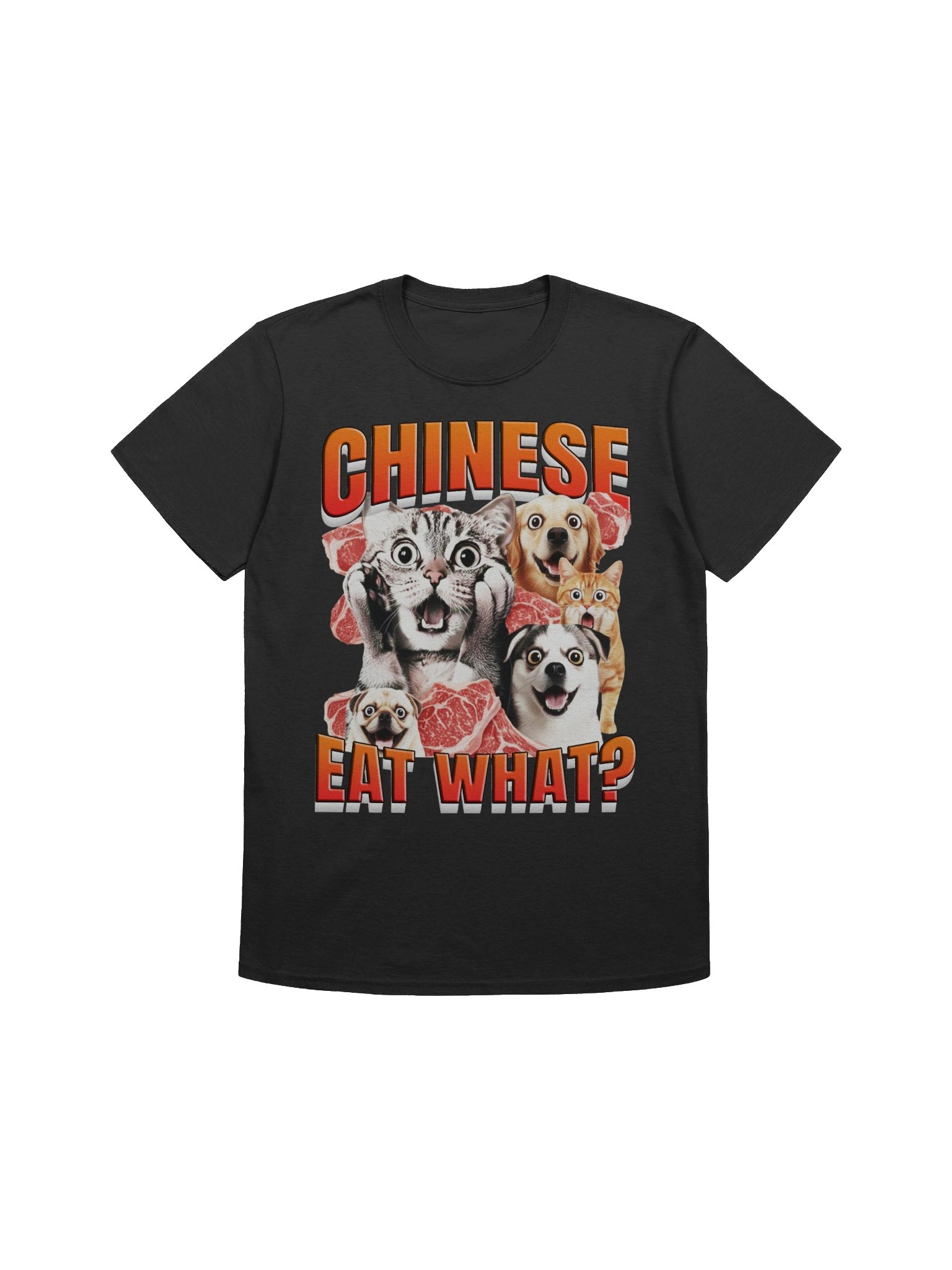 Chinese Eat What? T-Shirt product image (1)