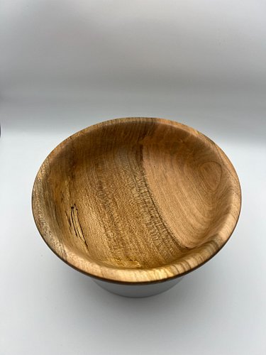 Spalted maple make every piece a one-of-a-kind functional art piece. This 6-inch bowl was turned from salvaged timber, giving...