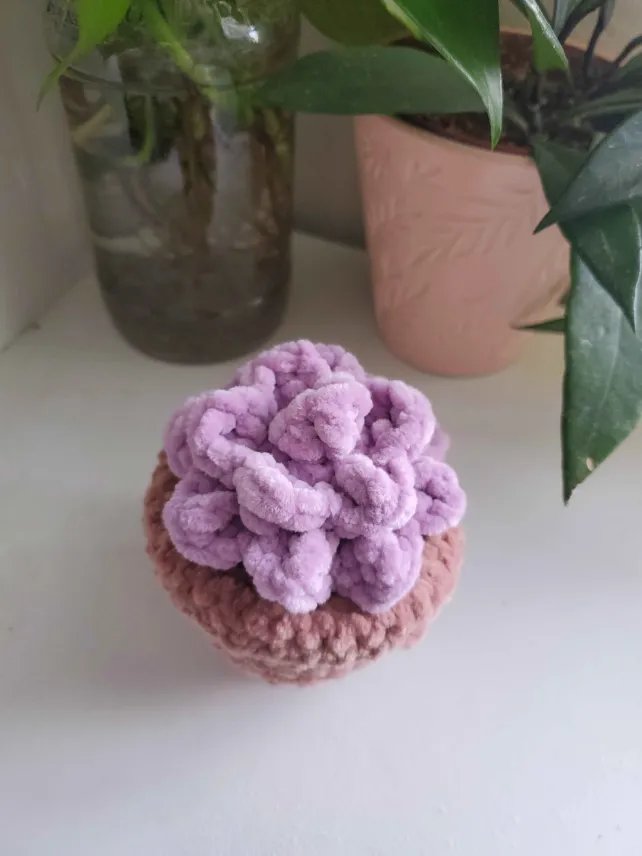 Succulent Friend product image (3)