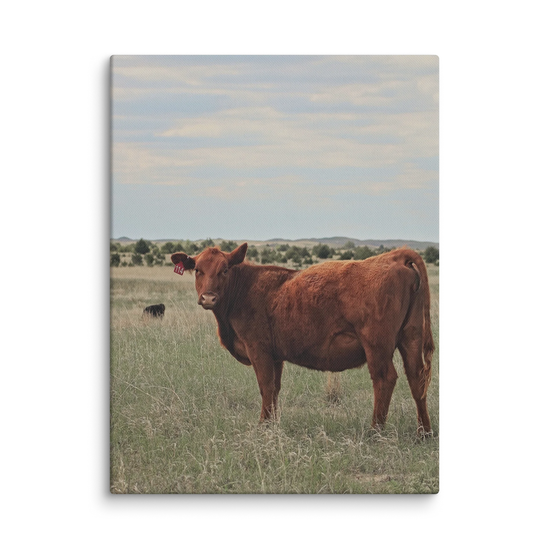Ruby Red Canvas Print product image (1)