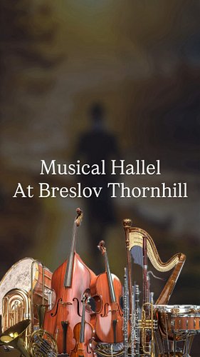 Today is Chol Hamoed which means we get to sing Hallel… with instruments!