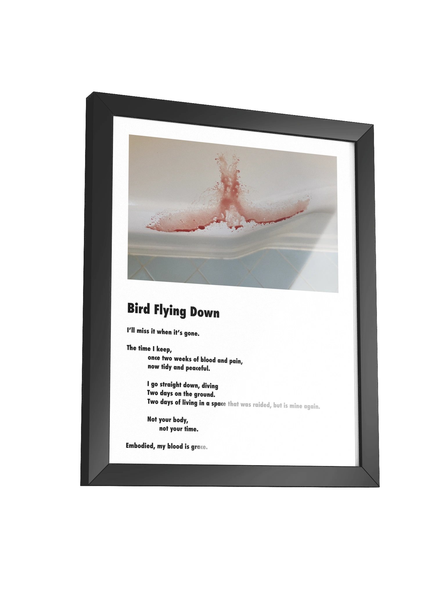 Bird Flying Down, Framed Poster product image (3)