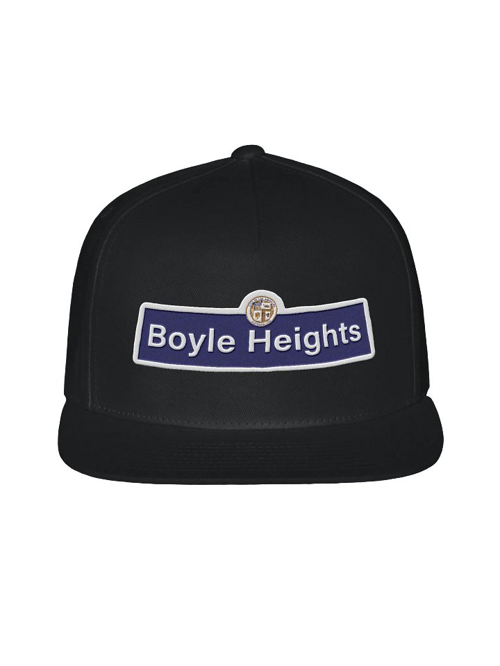 Snapback product image (1)