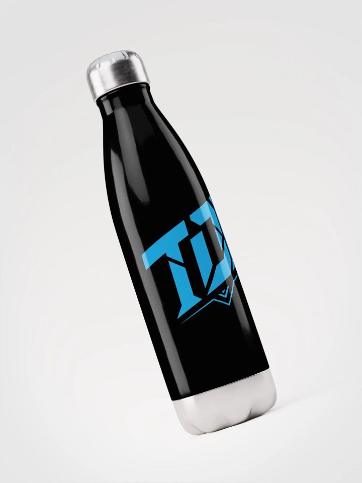 TDL Stainless Steel Insulated Water Bottle product image (2)