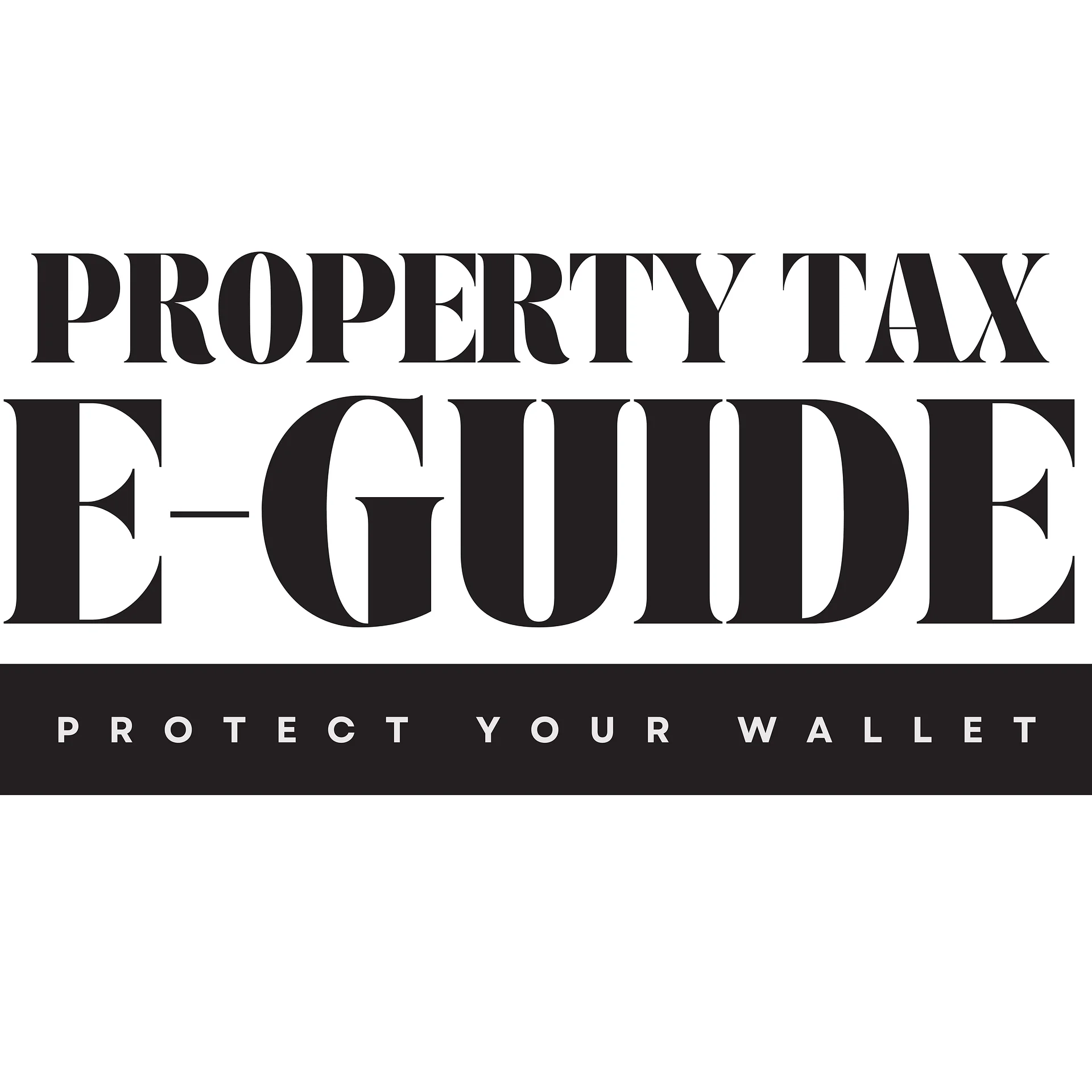 PROPERTY TAX E-GUIDE product image (1)