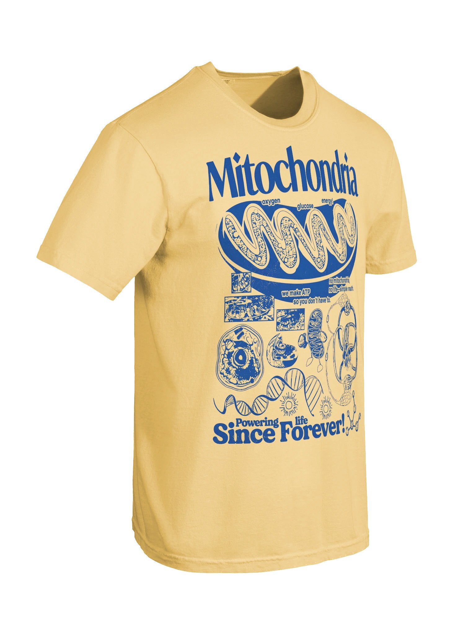 Mitochondria Graphic Tee,Biology Teacher Shirt, Comfort Colors Science Graphic Tee, Unisex product image (65)