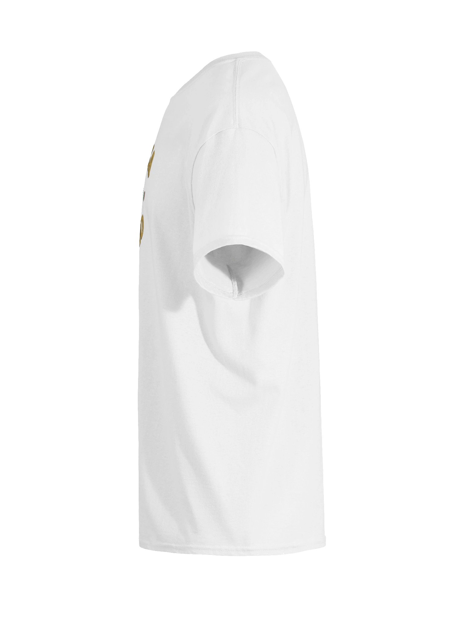 THE FLAG TEE product image (11)