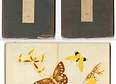 Art History's tag thumbnail