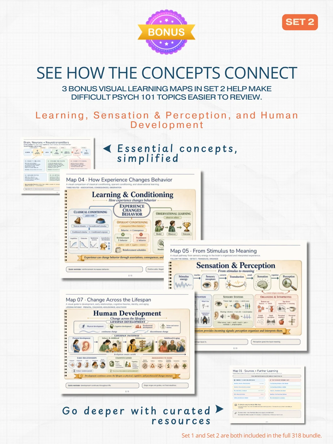 318 Illustrated Psychology Terms: Complete Visual Study Library product image (4)