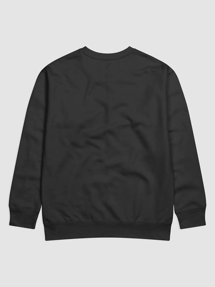 PPway Sweatshirt product image (2)