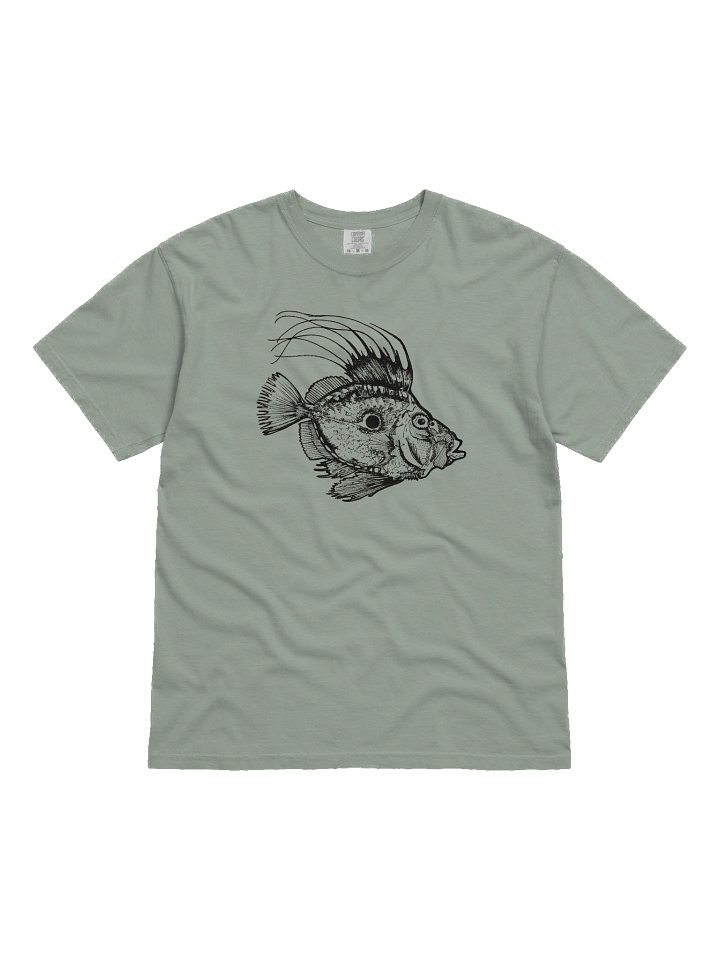 John Dory - Print product image (11)