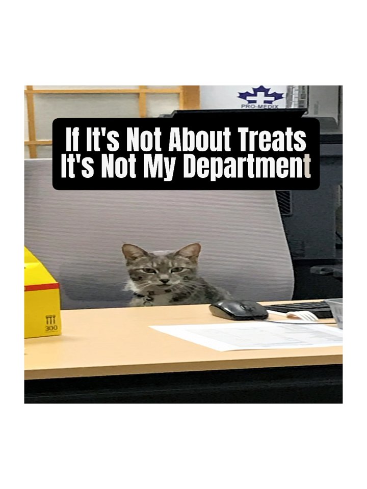 Treat Department Stickers product image (1)