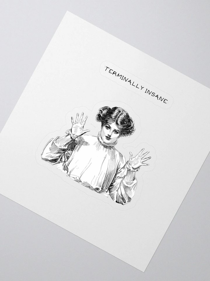 Terminally Insane product image (2)