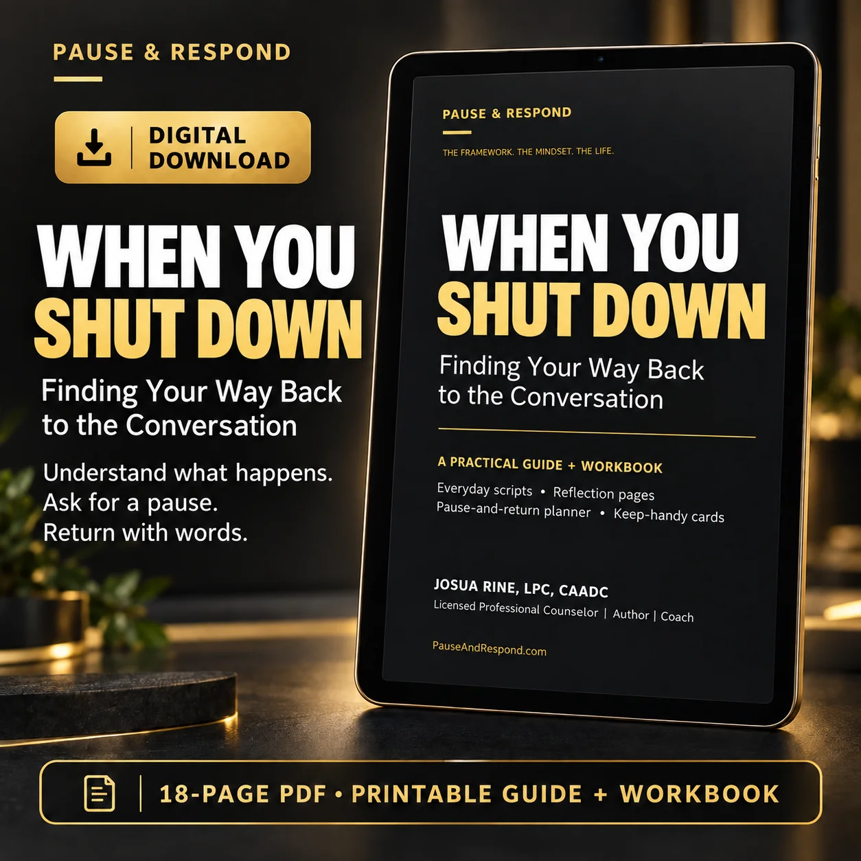 When You Shut Down: Finding Your Way Back to the Conversation product image (1)