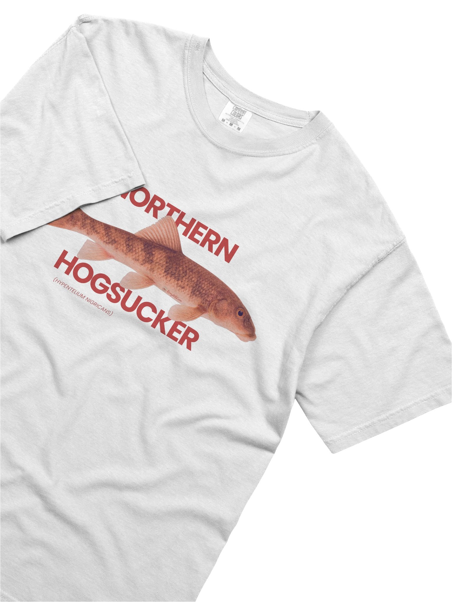 HOGSUCKER product image (2)