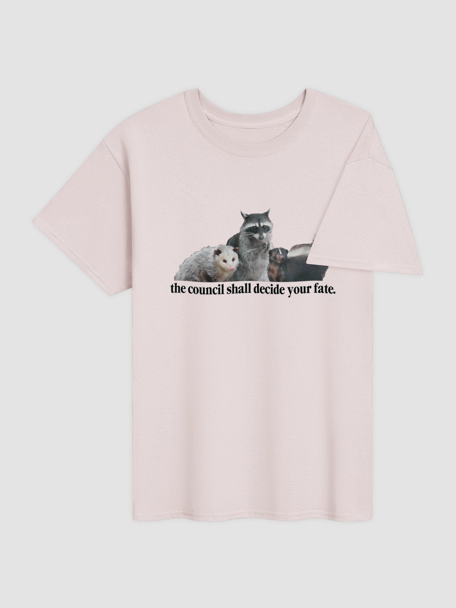 The council shall decide your fate T-shirt product image (41)