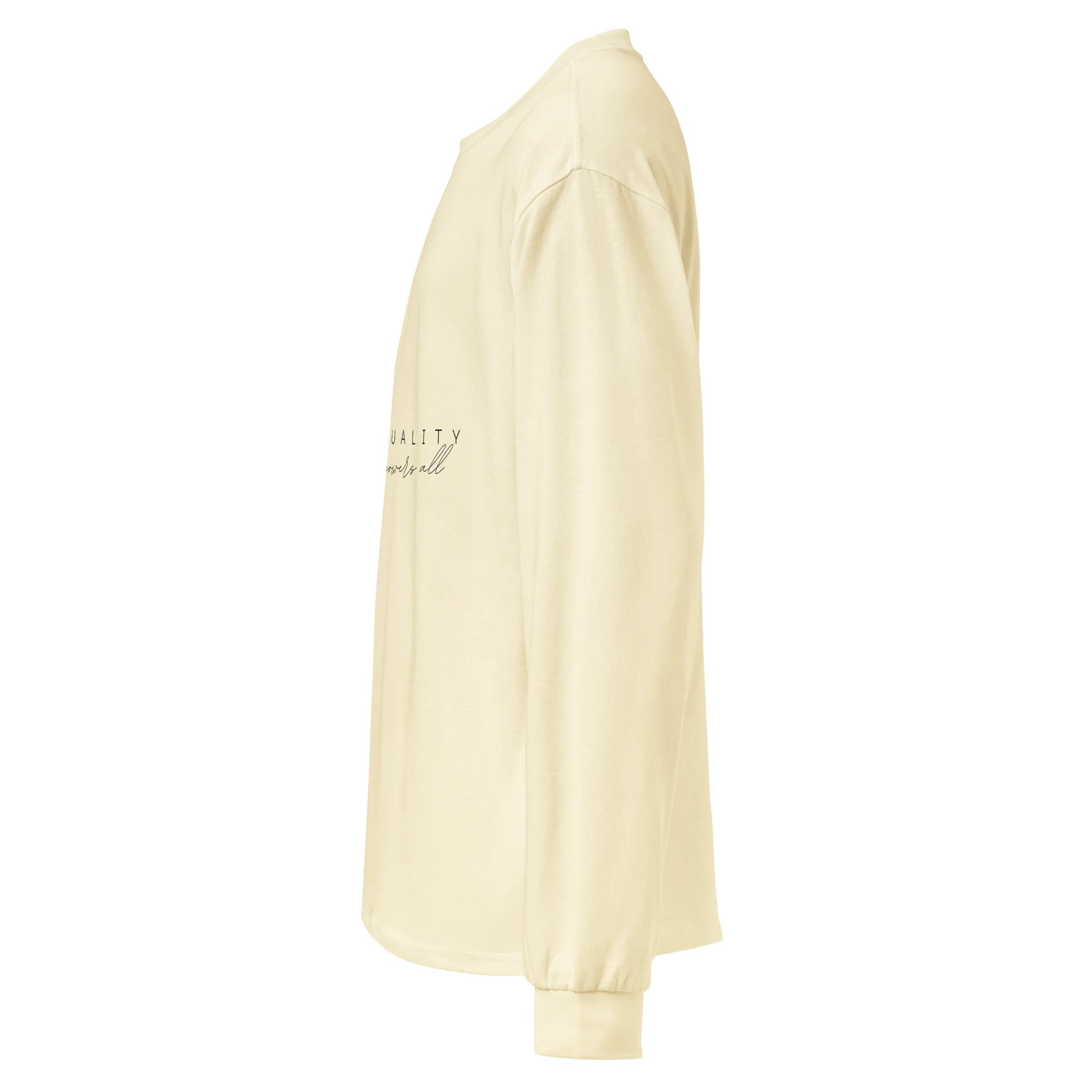Women's Premium Heavyweight Long Sleeve Shirt HLFB0134 product image (3)