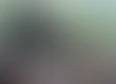 dry fly's tag thumbnail