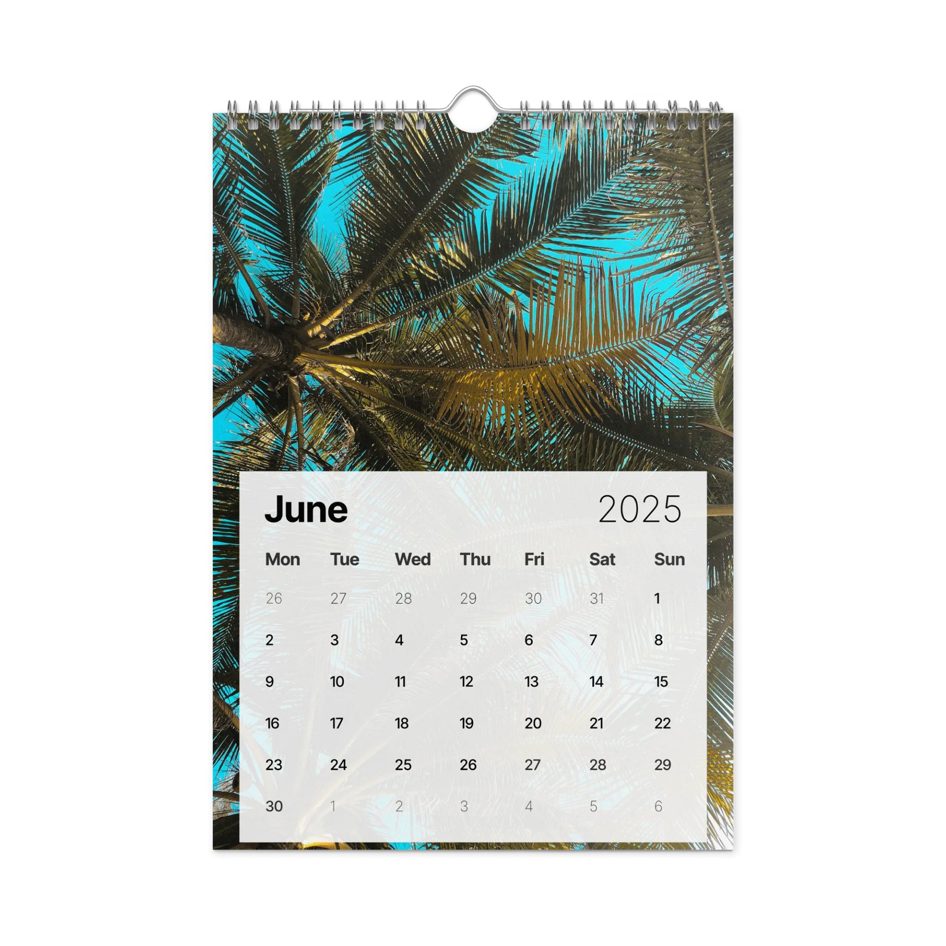 2025 Calendar product image (6)