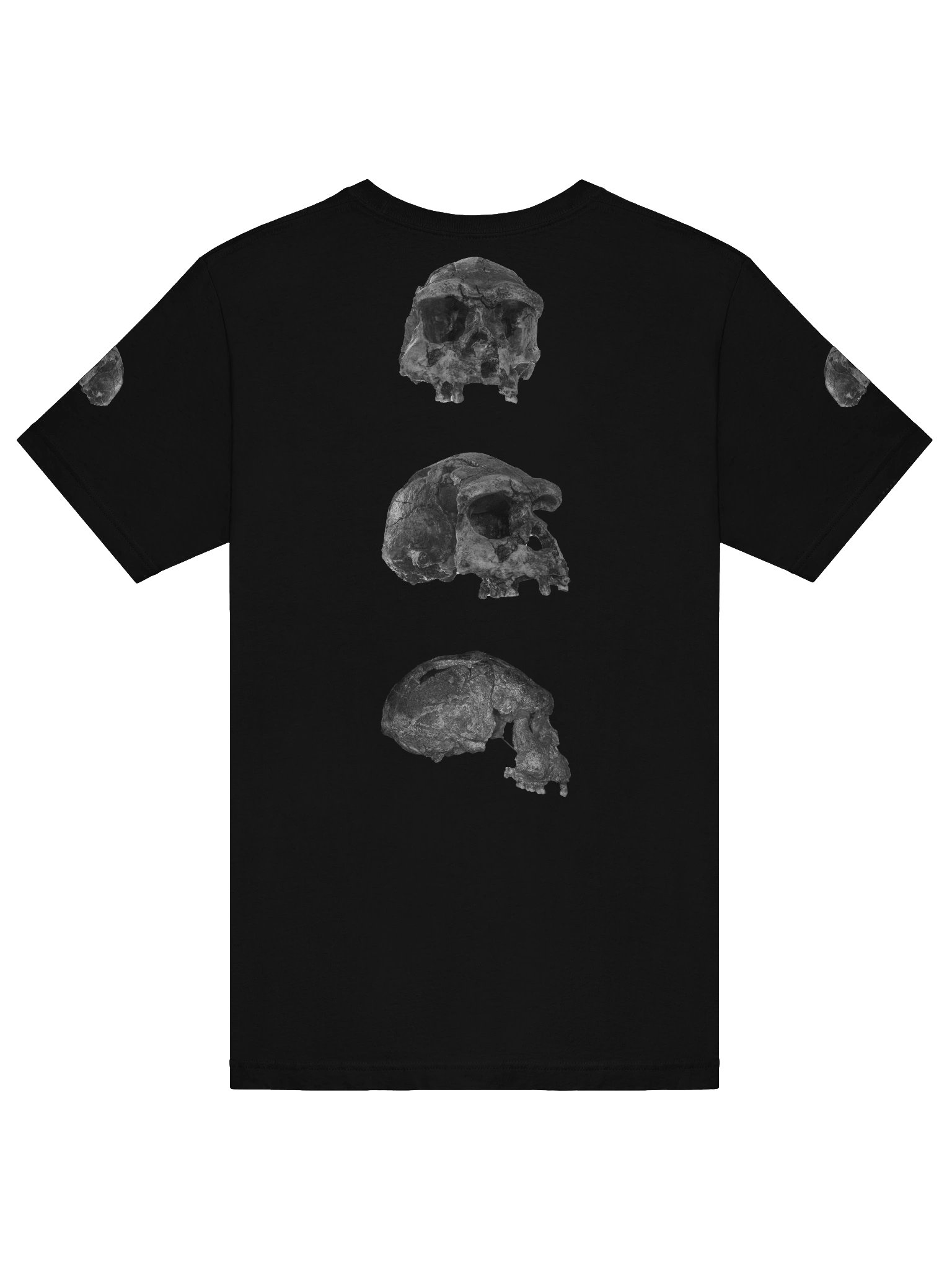 Erectus Fossil Skull T-Shirt Dark product image (28)