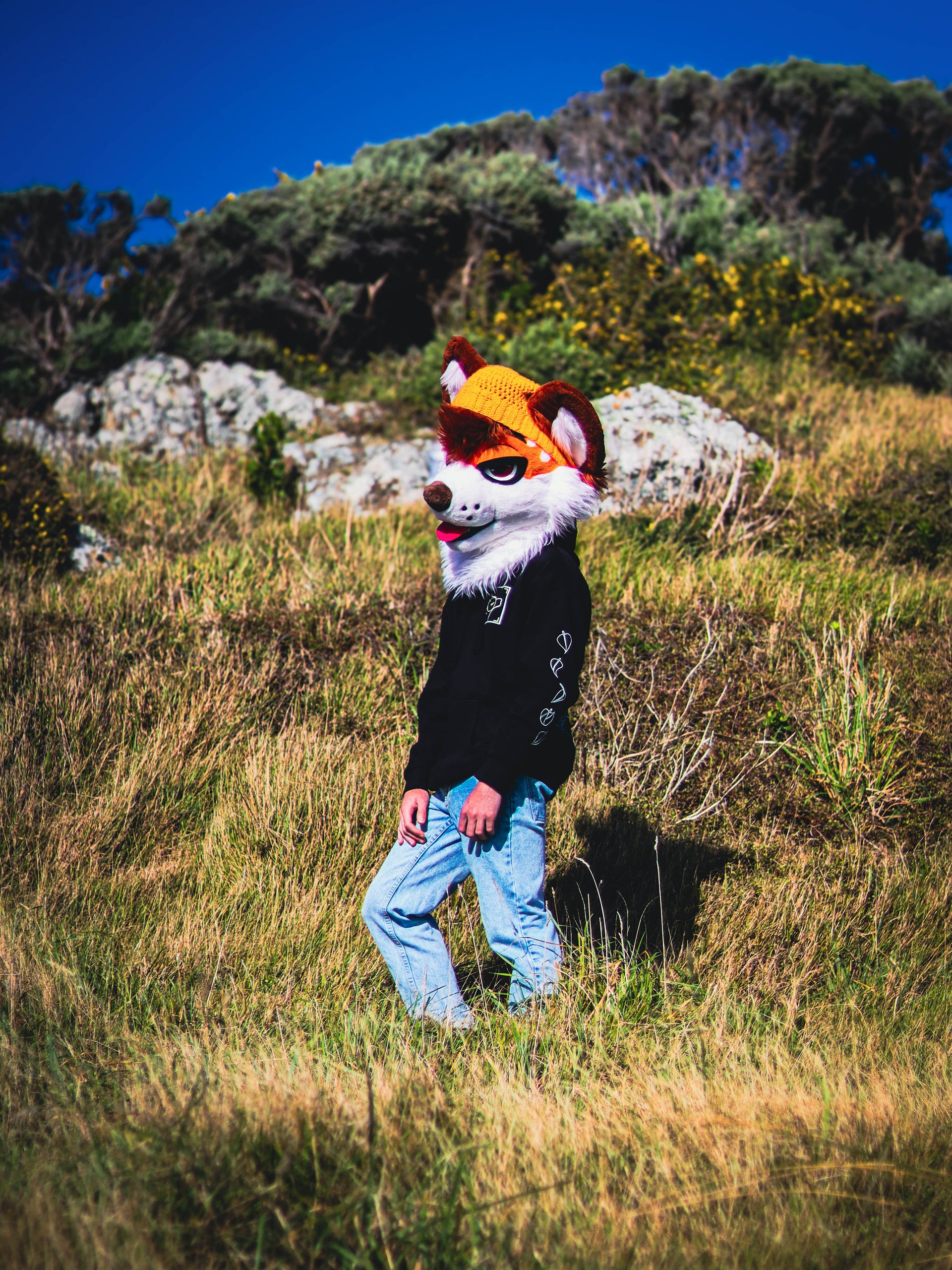 True Fox Hoodie product image (6)