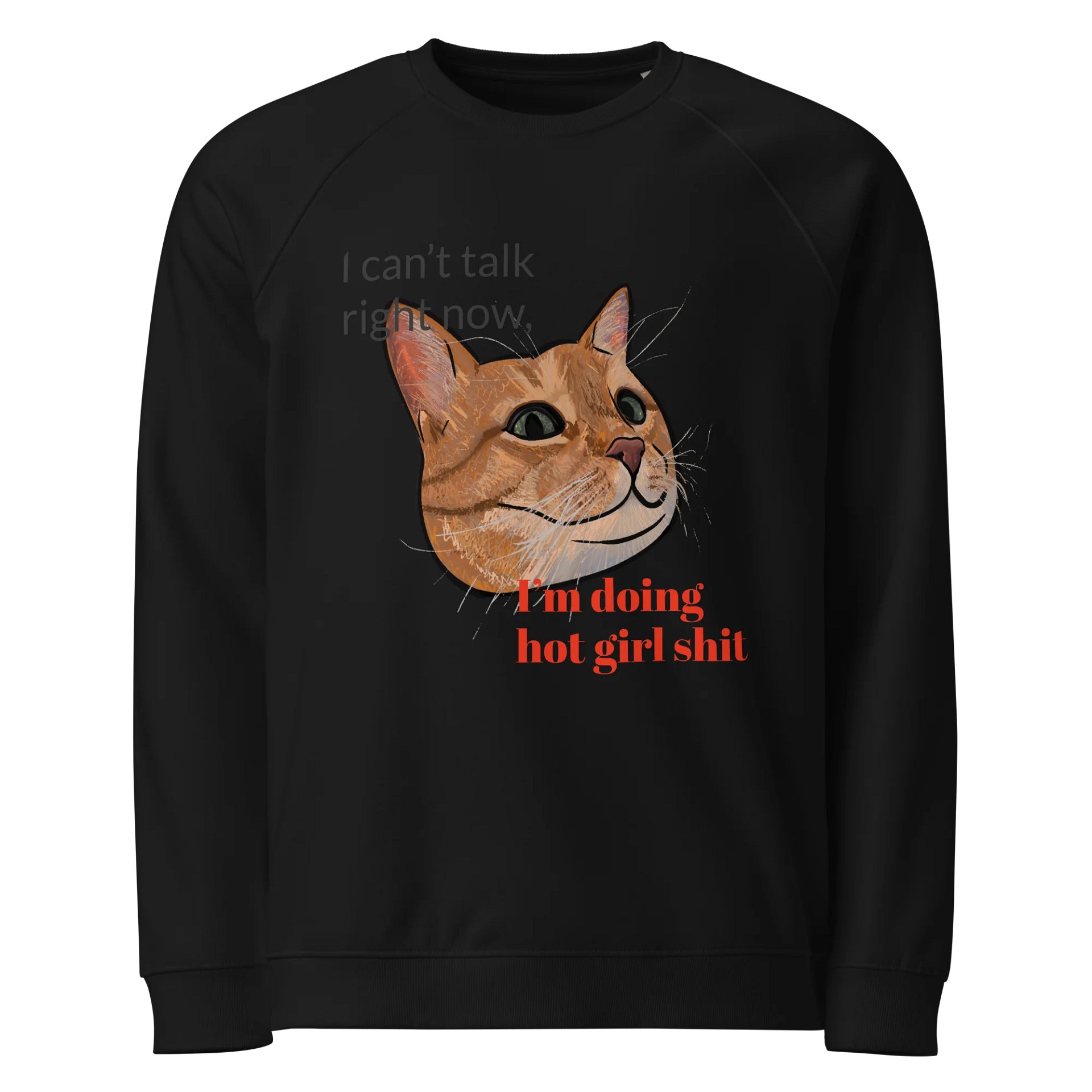 Orangey Knows Raglan Sweatshirt product image (1)