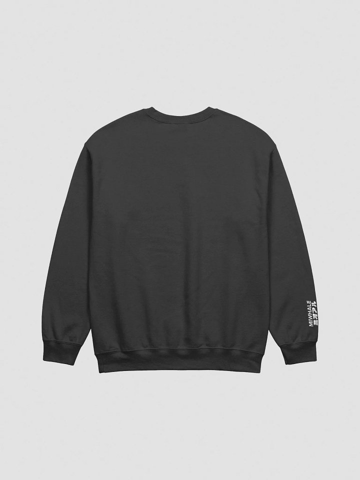 Embroidered Sweatshirt product image (10)