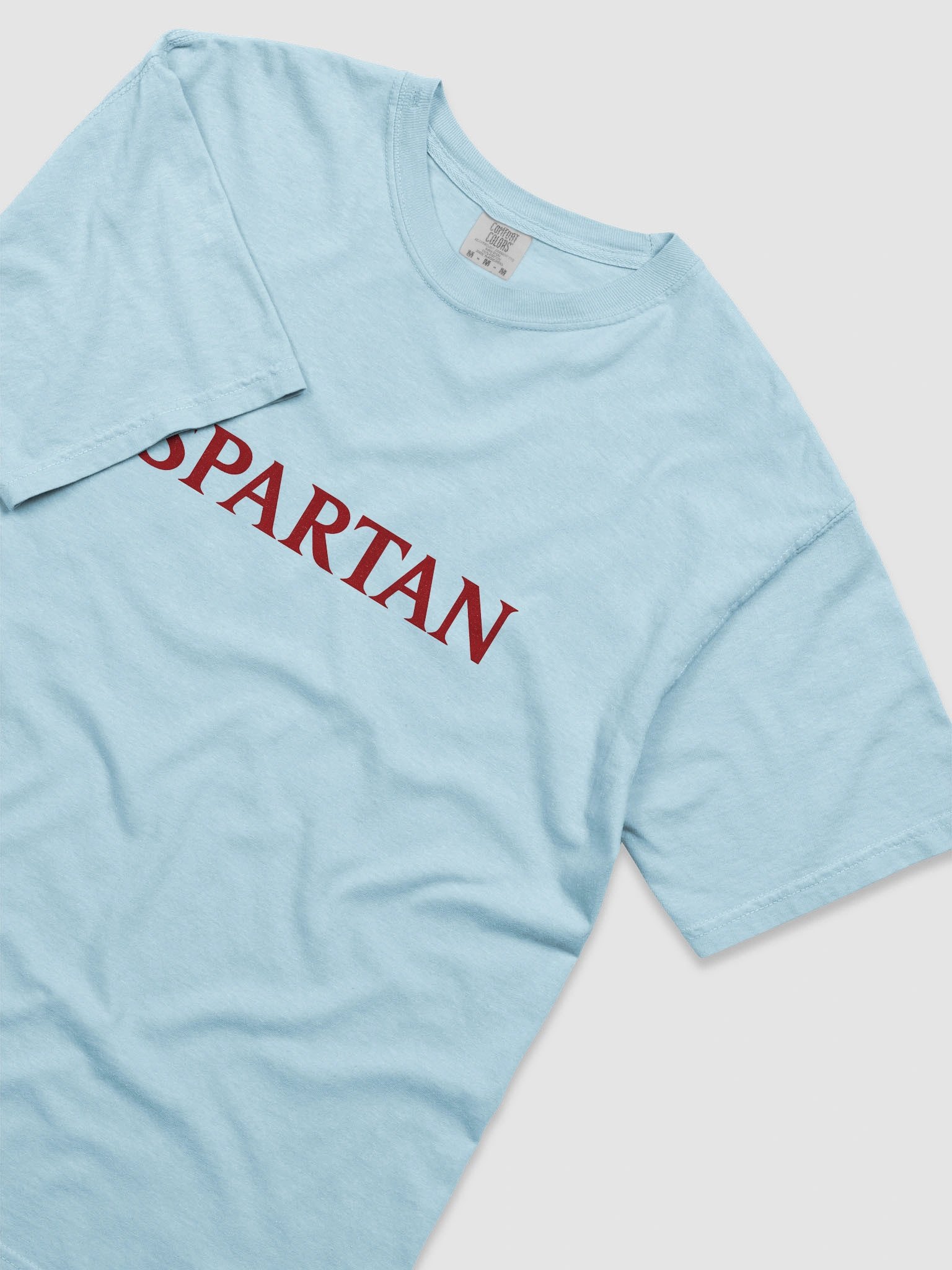 SPARTAN Sentinel Tee product image (3)