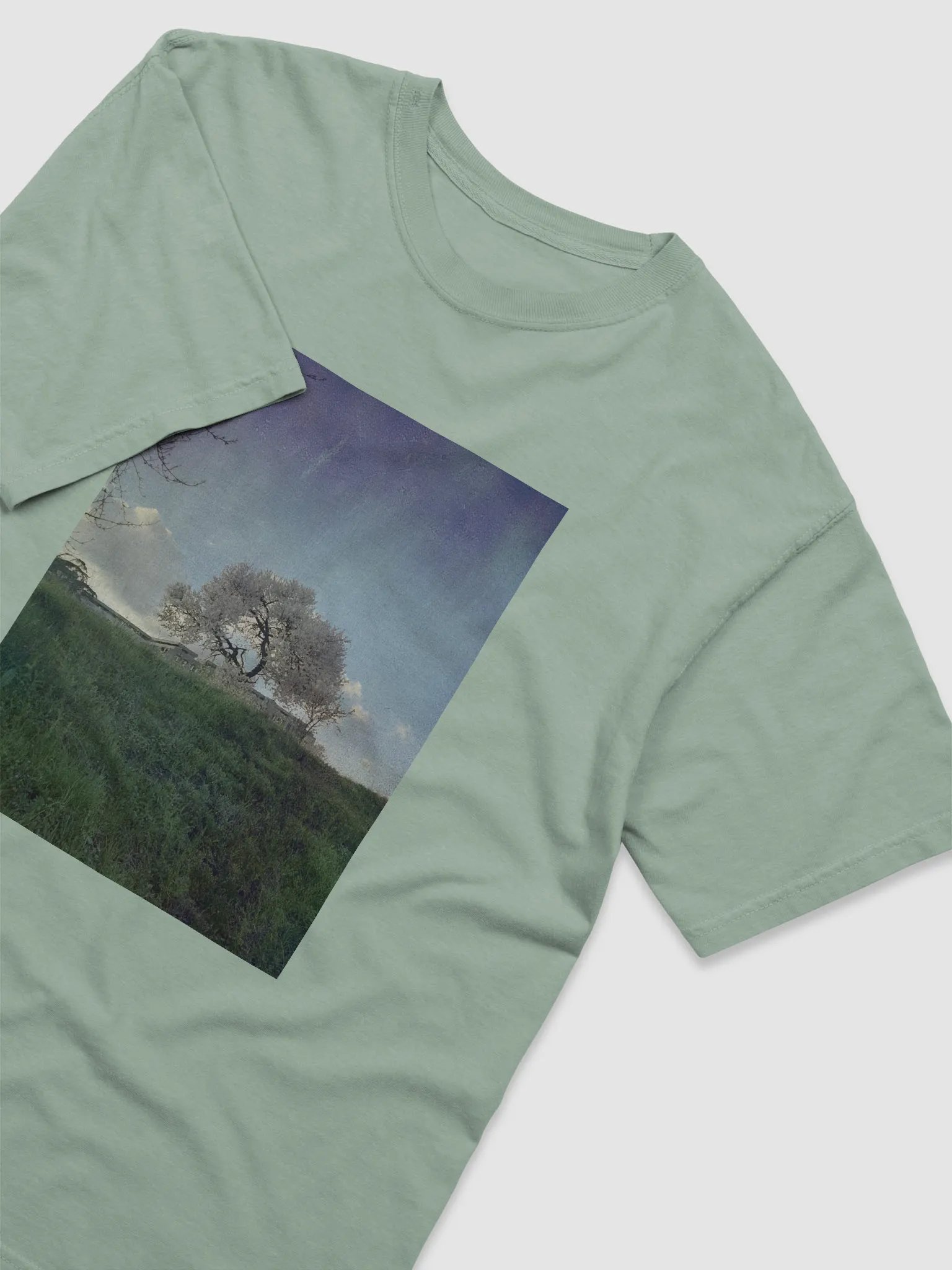 Summer product image (3)