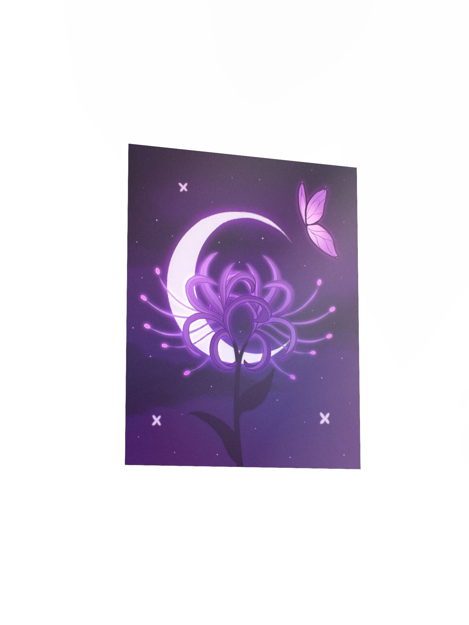 Lilac Spider Lily product image (6)