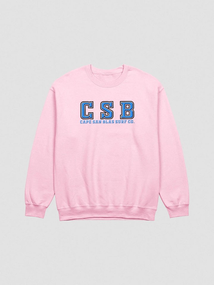 College Bound Embroidered Sweatshirt product image (2)