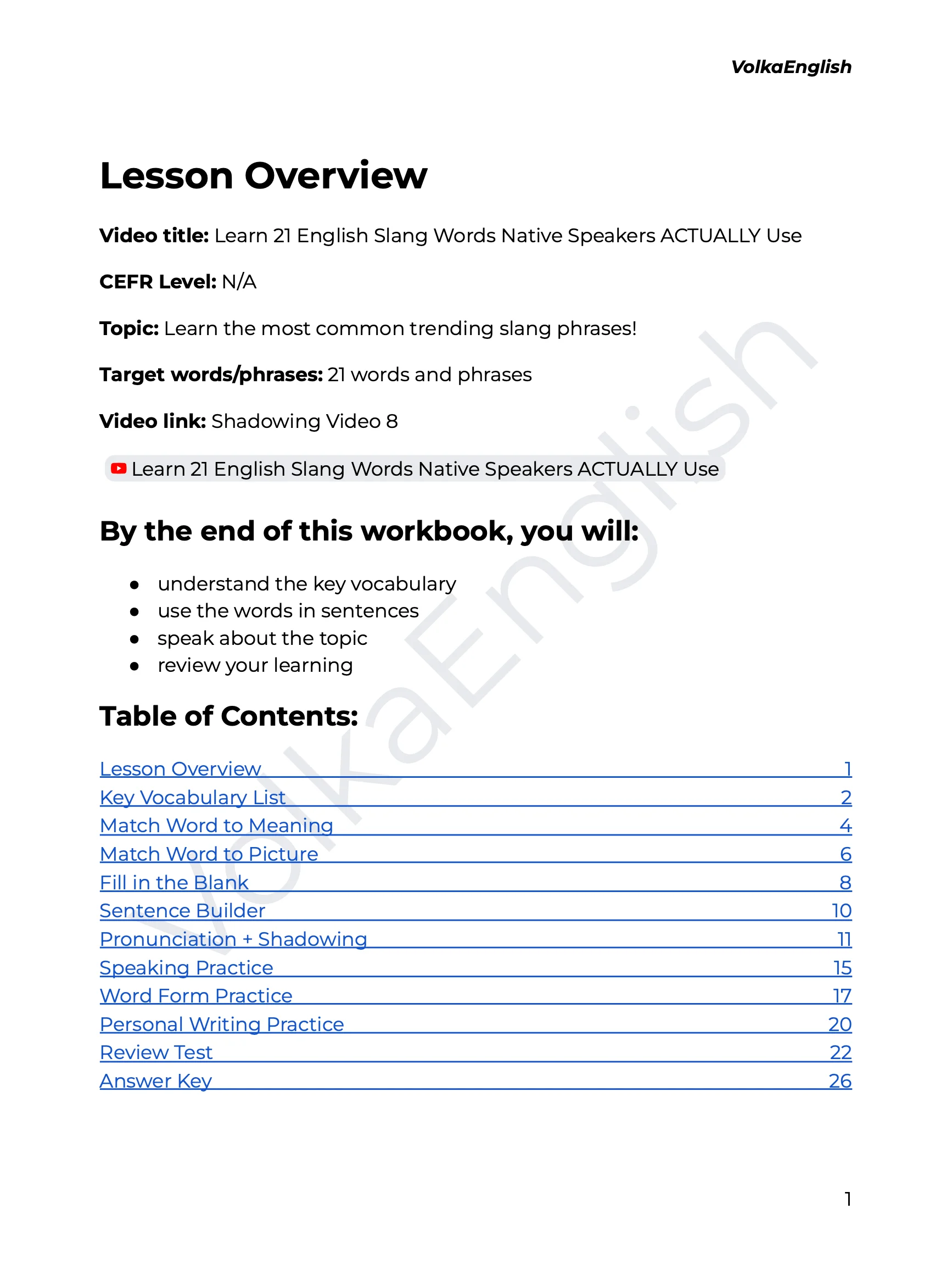 Learn 21 English Slang Words Native Speakers ACTUALLY Use - Shadowing Video 8 Study Pack product image (2)