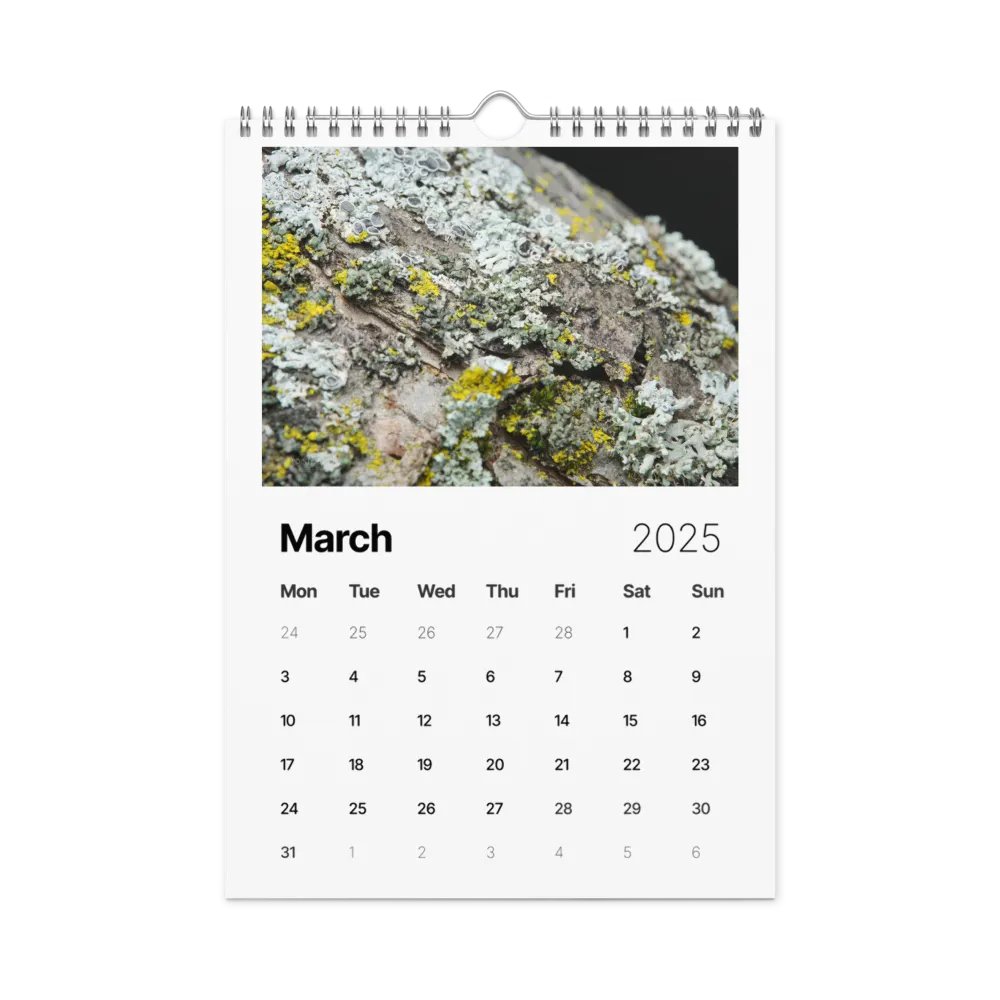Likin' Lichen 2025 Wall Calendar product image (4)
