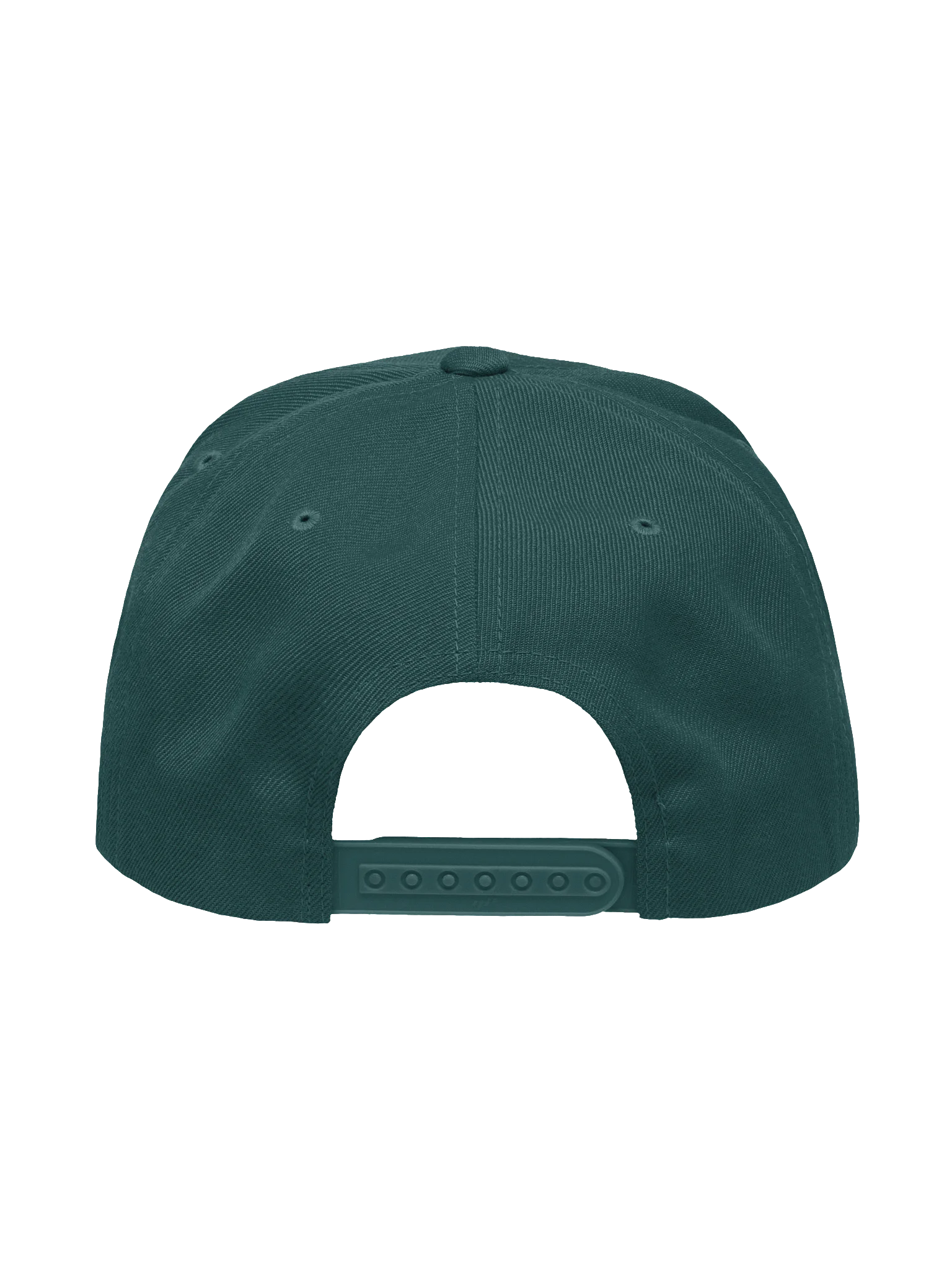 Boughs Won't Break Snapback product image (4)