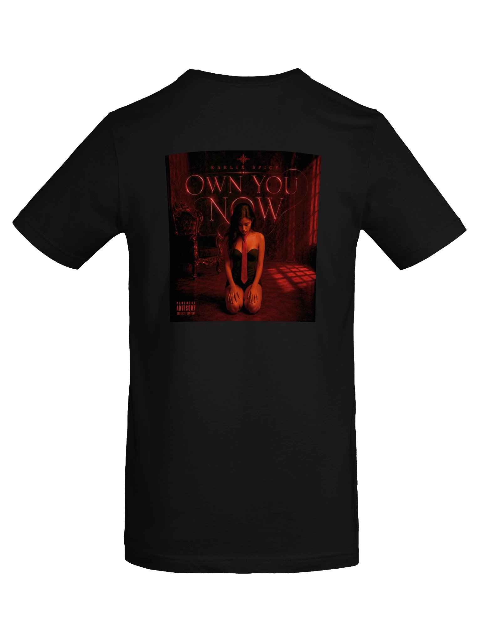 OWN YOU NOW COVER UNISEX SOFT TEE product image (6)