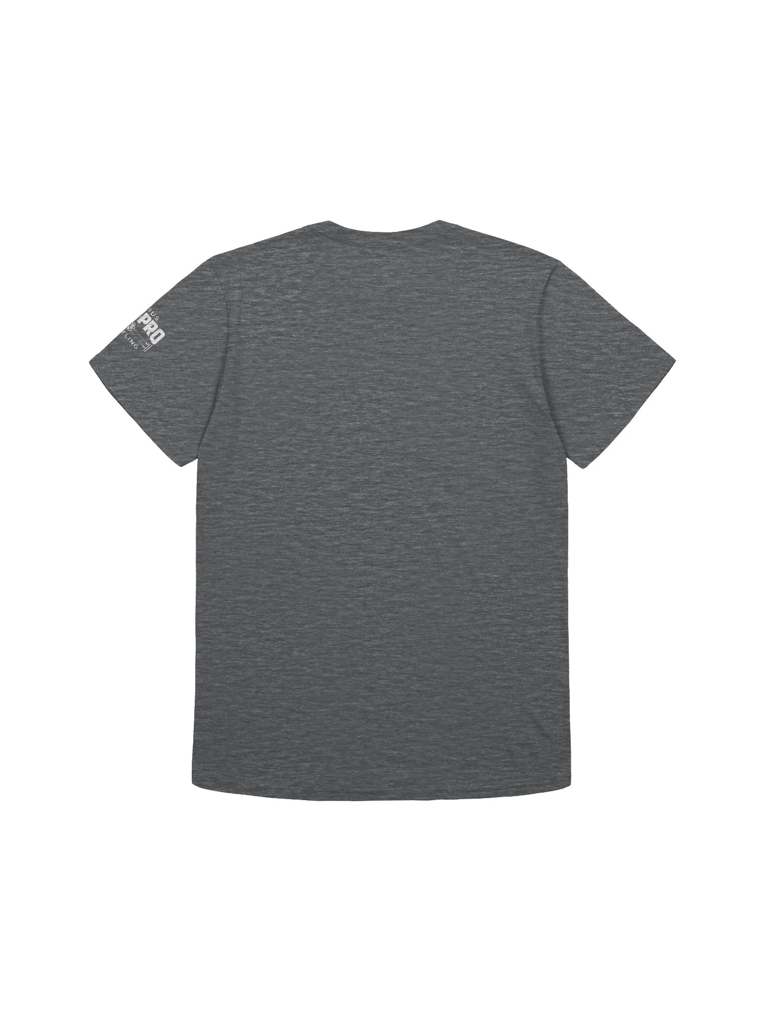 CAPW "Two Flags, One Ring" Tee product image (2)