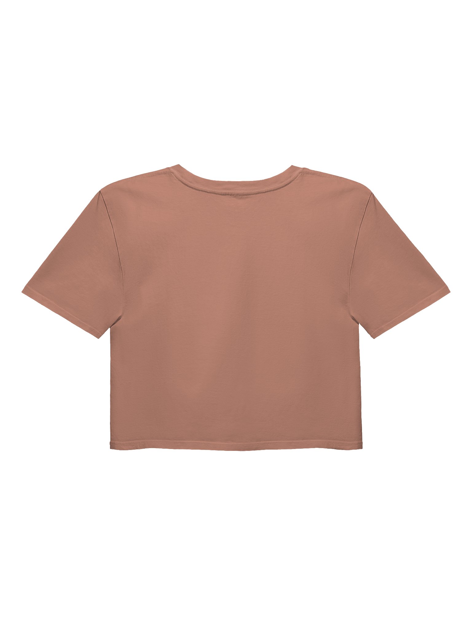 “WOKE UP PRETTY” – AS Colour Women’s Premium Crop Tee product image (3)