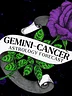 gemini cancer cusp ★ astrology tarot forecast ★ august 2026