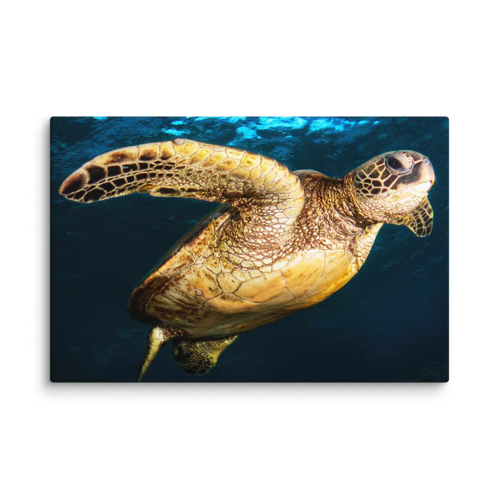 Hawaiian Green in the Blue product image (1)
