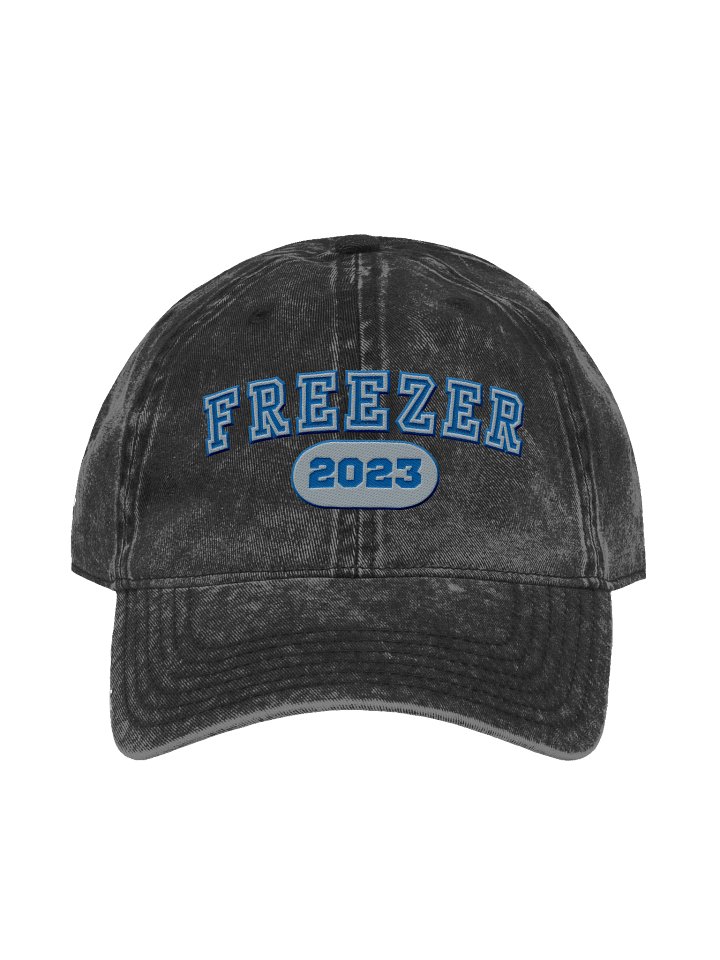 Freezer Vintage Wash Dad Hat product image (1)