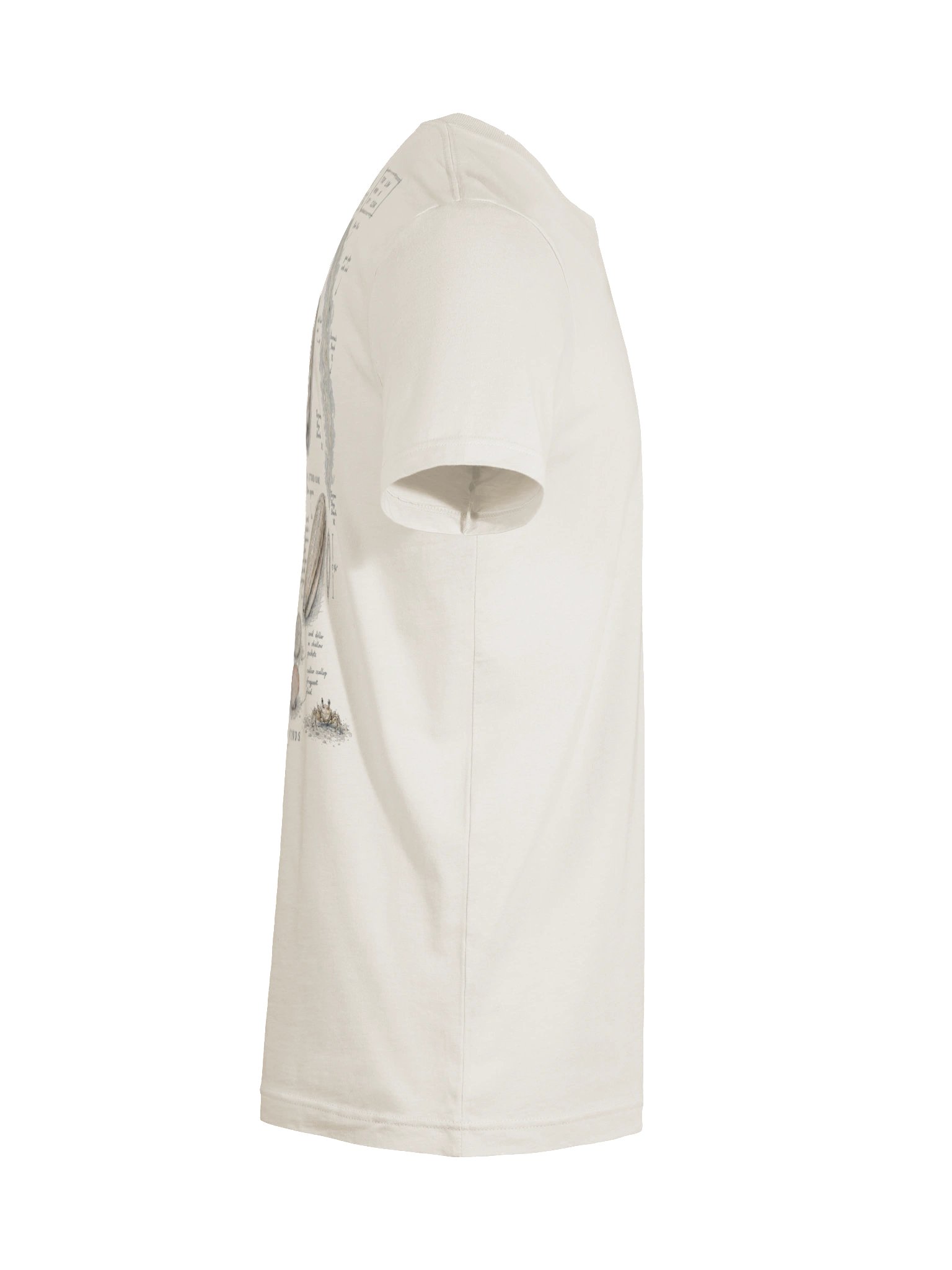 LL Social Co. Shelling Field Notes Tee — Sanibel product image (85)
